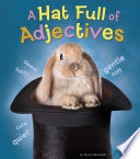 A_hat_full_of_adjectives